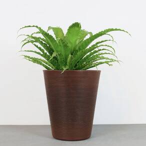 Vaso Bali 35 X 40 Cm Cor 09 - Antique Rusty