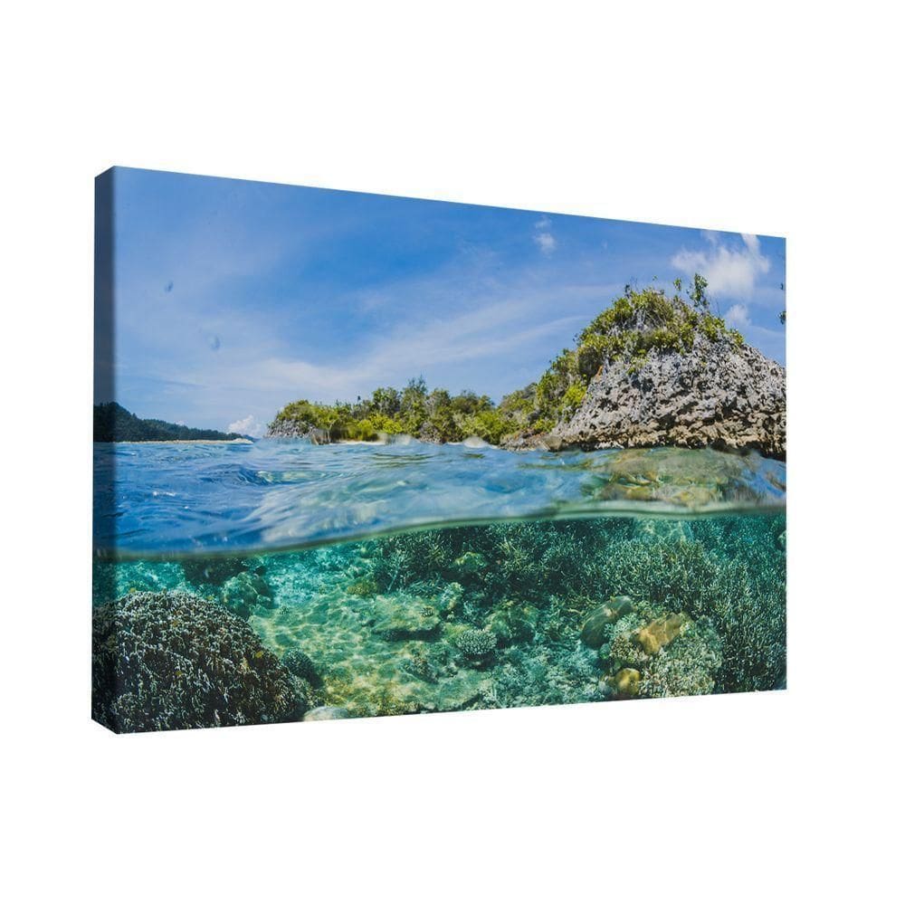 Quadro Water Paradise -- Br Artes