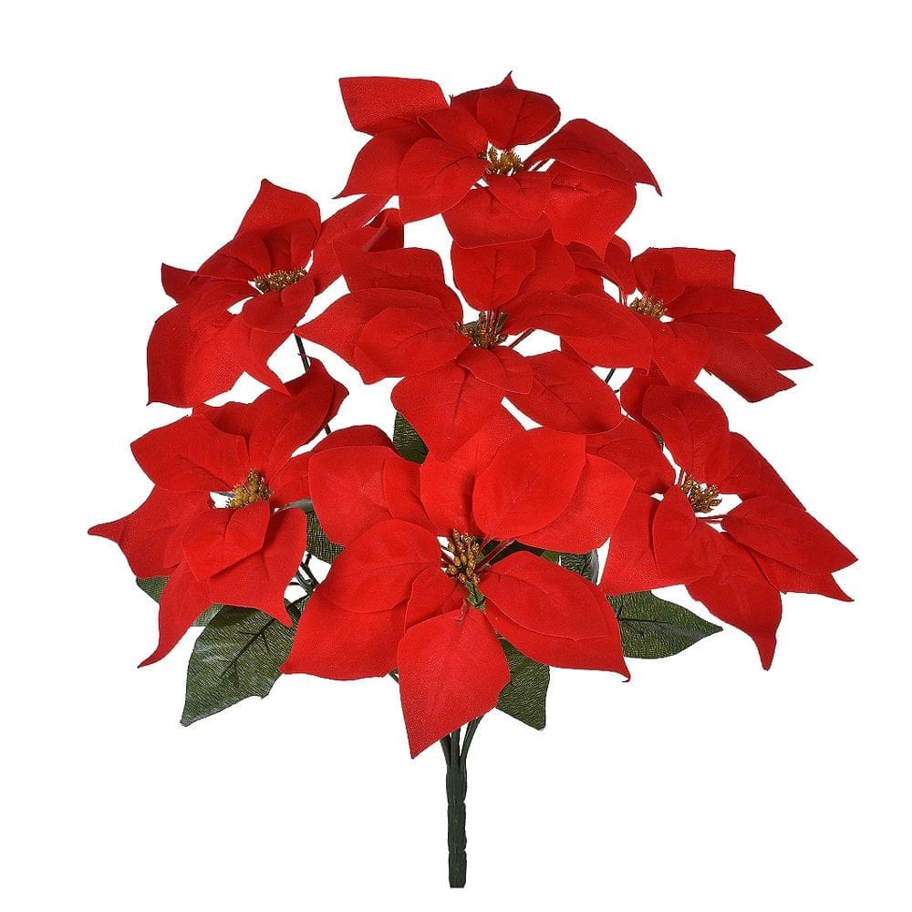 Buquê Bico De Papagaio Veludo X7 Vermelho