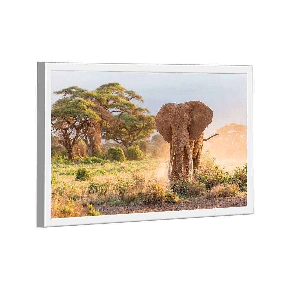 Quadro Elefante Savana -- Br Artes