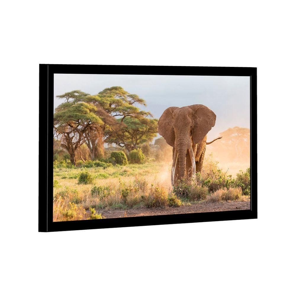 Quadro Elefante Savana -- Br Artes