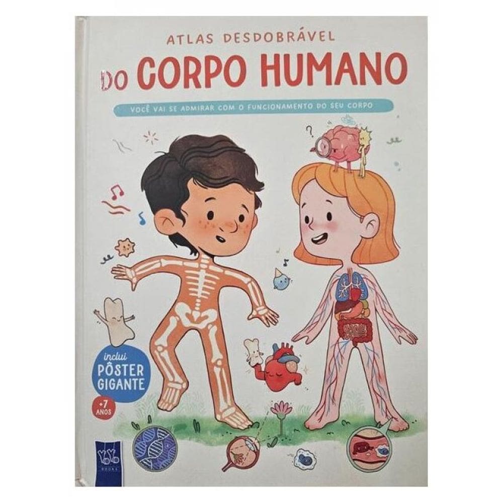 Atlas Desdobrável Do Corpo Humano