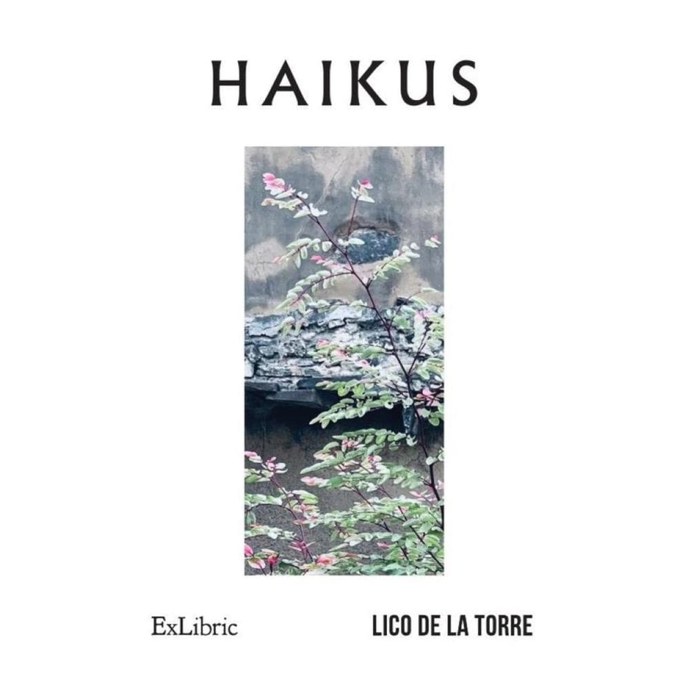 Haikus - Espanhol