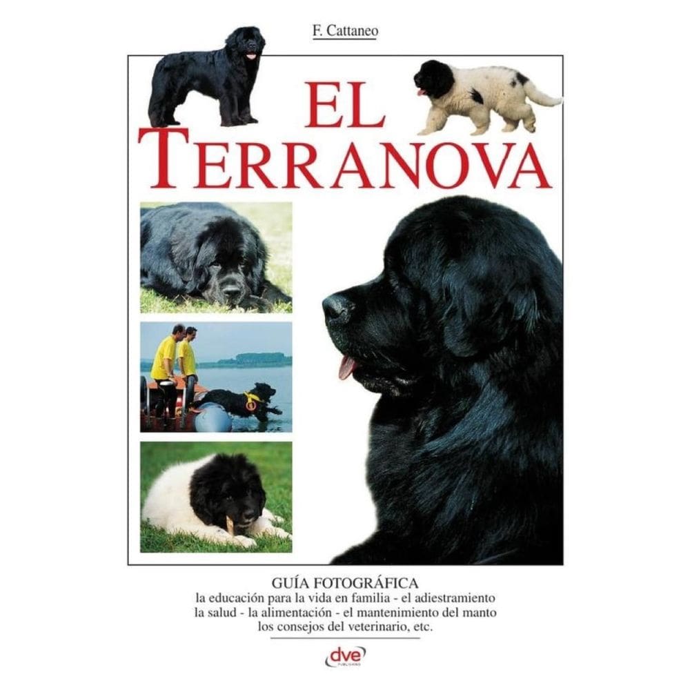 El terranova - Espanhol