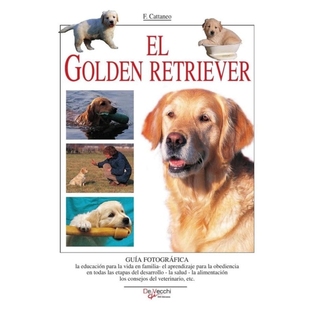 El Golden retriever - Espanhol