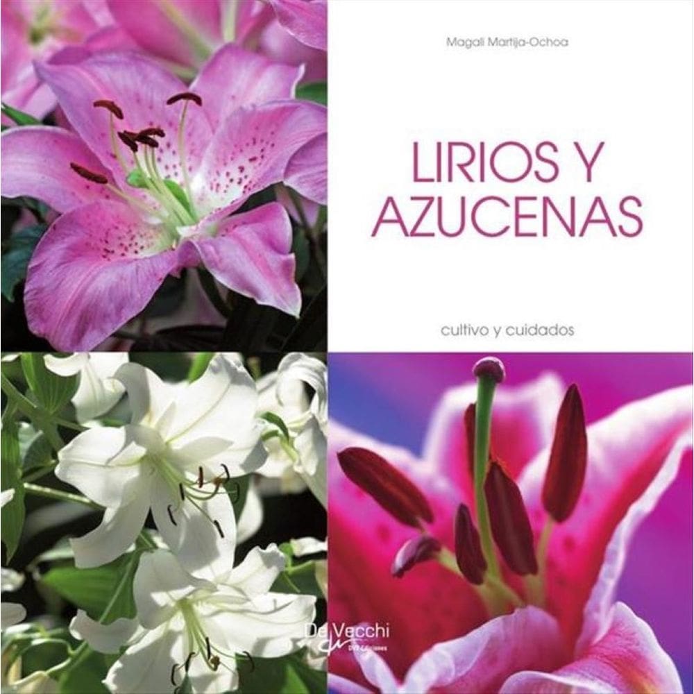 Lirios y azucenas - Espanhol