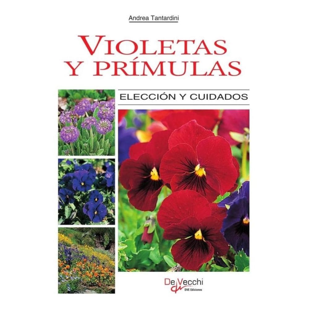 Violetas y prímulas - Espanhol