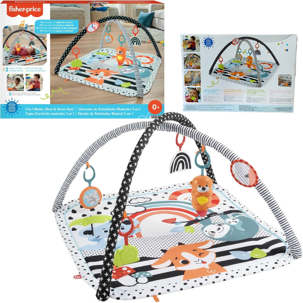 Ginásio De Atividades Musical 3 em 1 Fisher Price HBP41