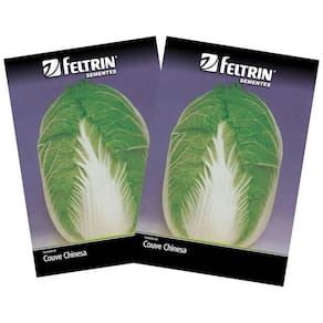 2X Sementes de Couve Chinesa Michihilii FELTRIN