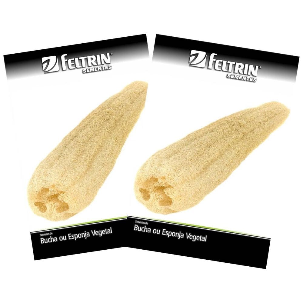 2X Sementes de Esponja Vegetal (Bucha Bob) FELTRIN