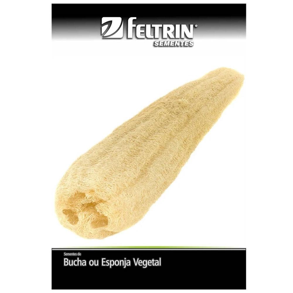 Sementes de Esponja Vegetal (Bucha Bob) FELTRIN