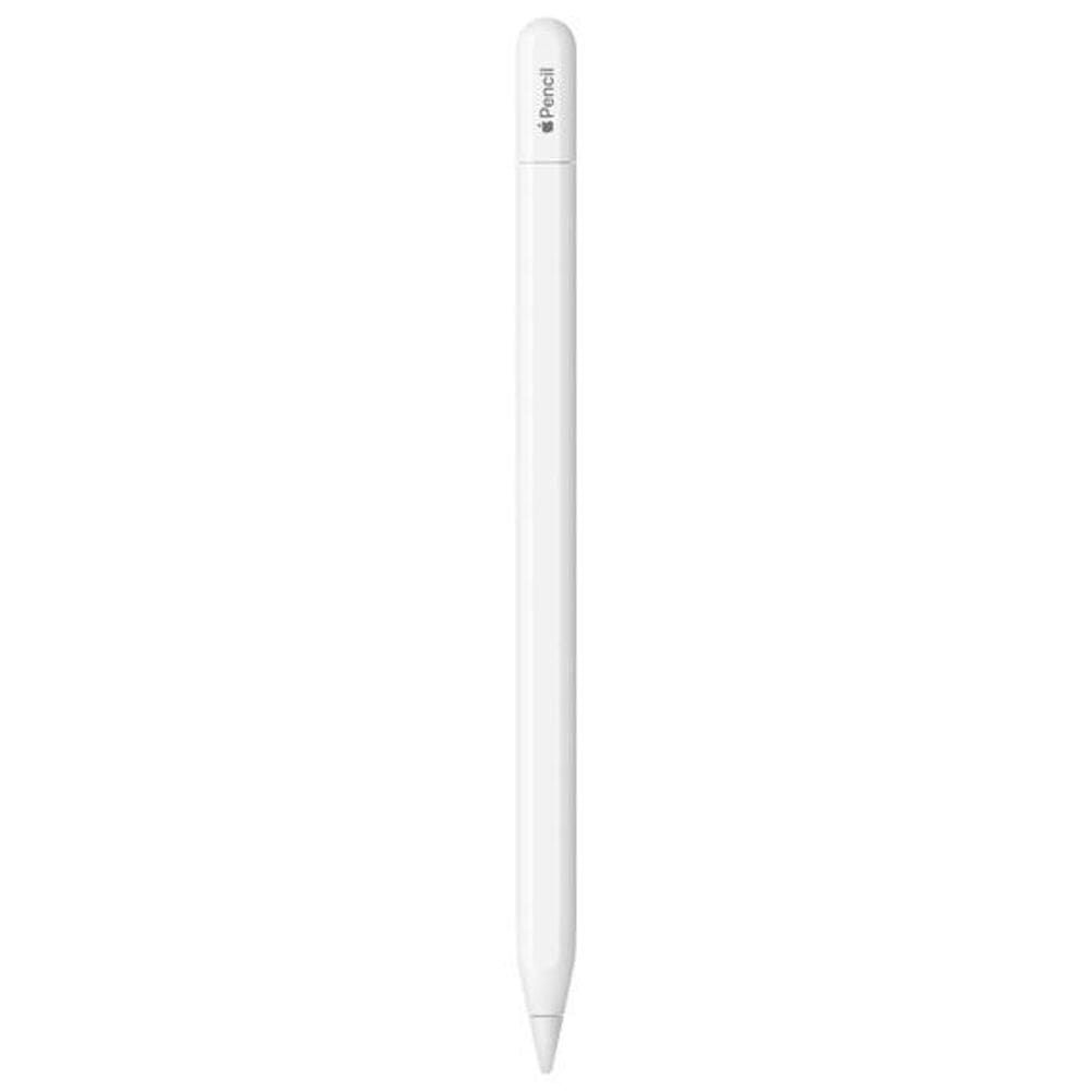 Apple Pencil (USB-C) para iPad