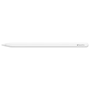 Apple Pencil Pro para iPad