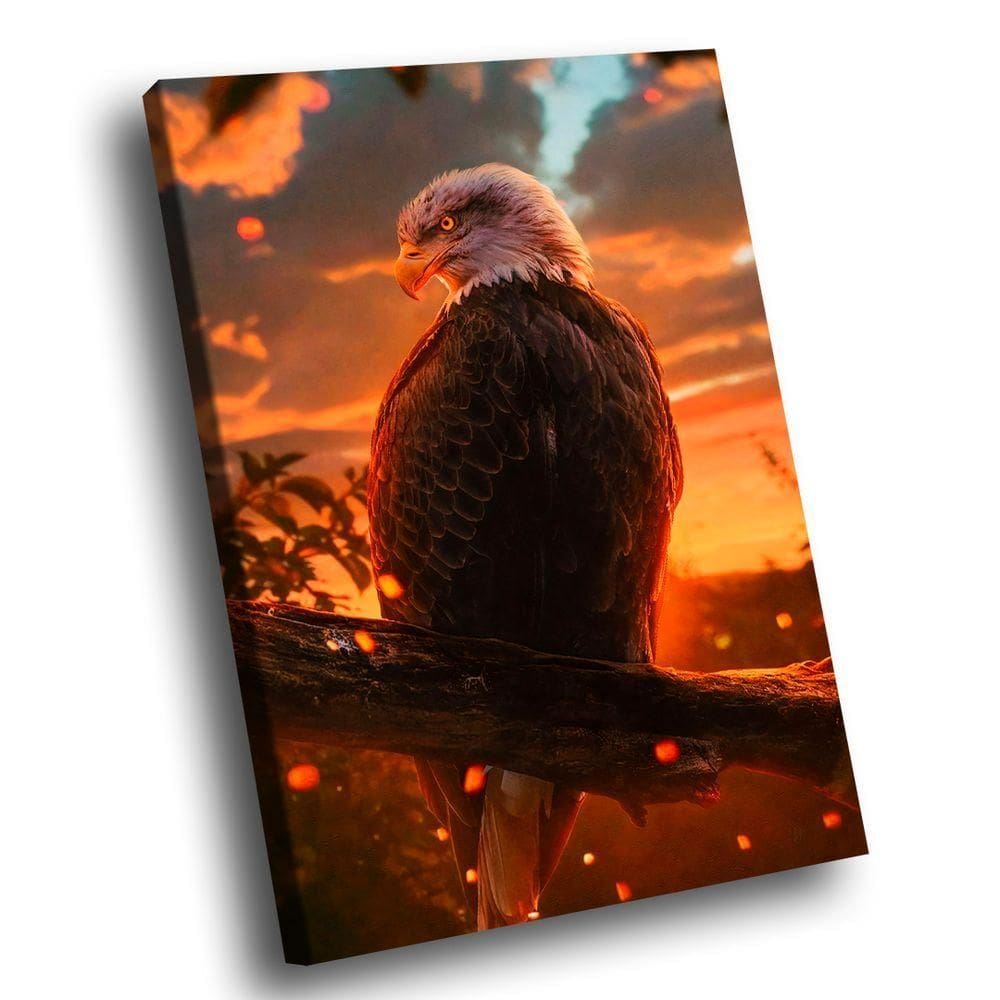 Quadro águia Eclipse -- Br Artes