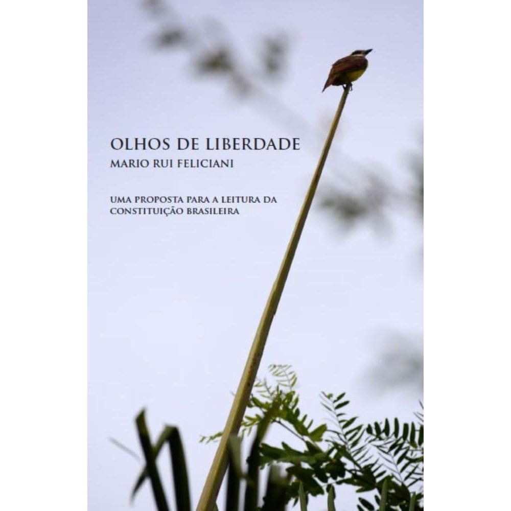 Olhos de liberdade: Uma proposta para a leitura da Constituição Brasileira