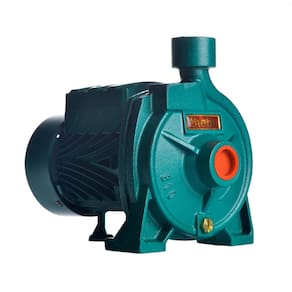 Bomba Monoestágio B-10 1/4 Cv Monofásico Motor Thebe Ip44 127/220v