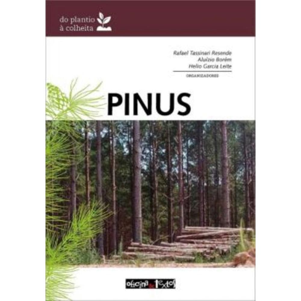 Pinus