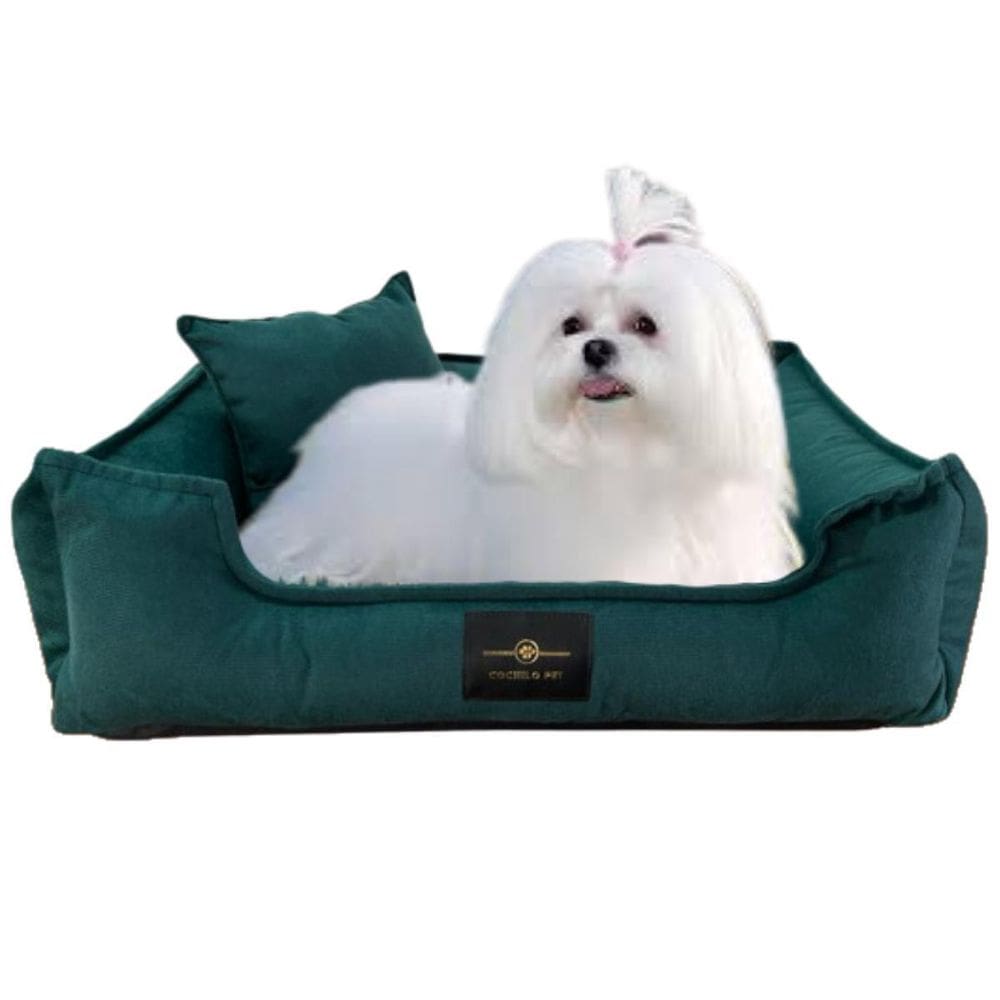 Cama Caminha Pet Para Cachorro M 60X50 Veludo Shitzu Verde