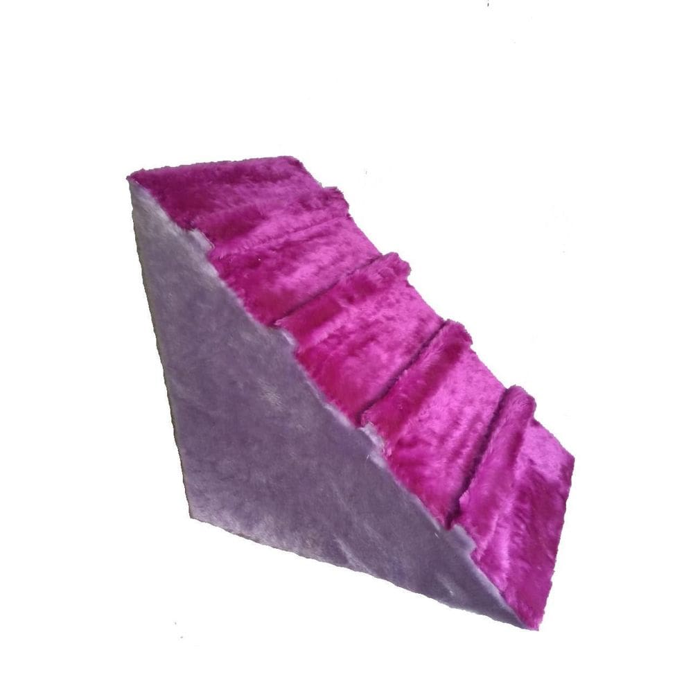 Rampa Para Caes Roxo Com Lilás
