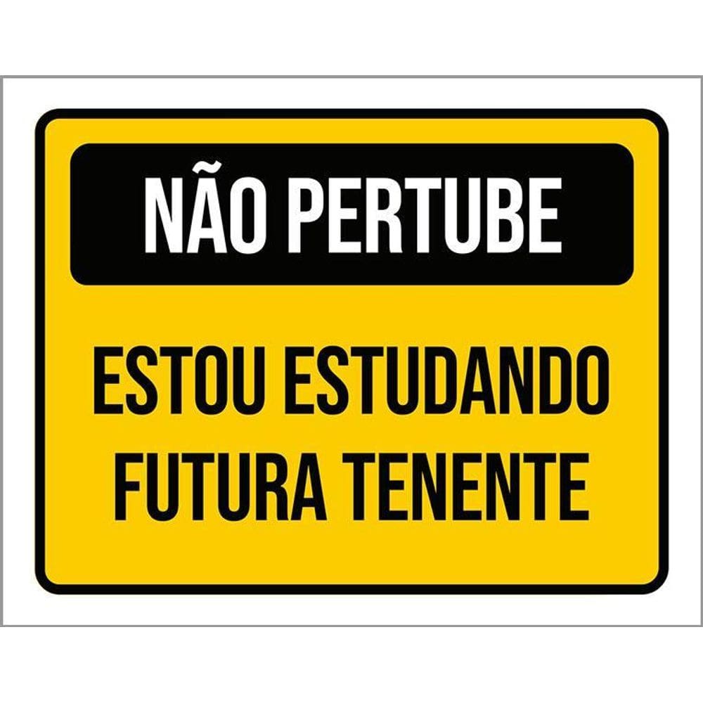 Placa Não Perturbe Estudando Futura Tenente 36X46