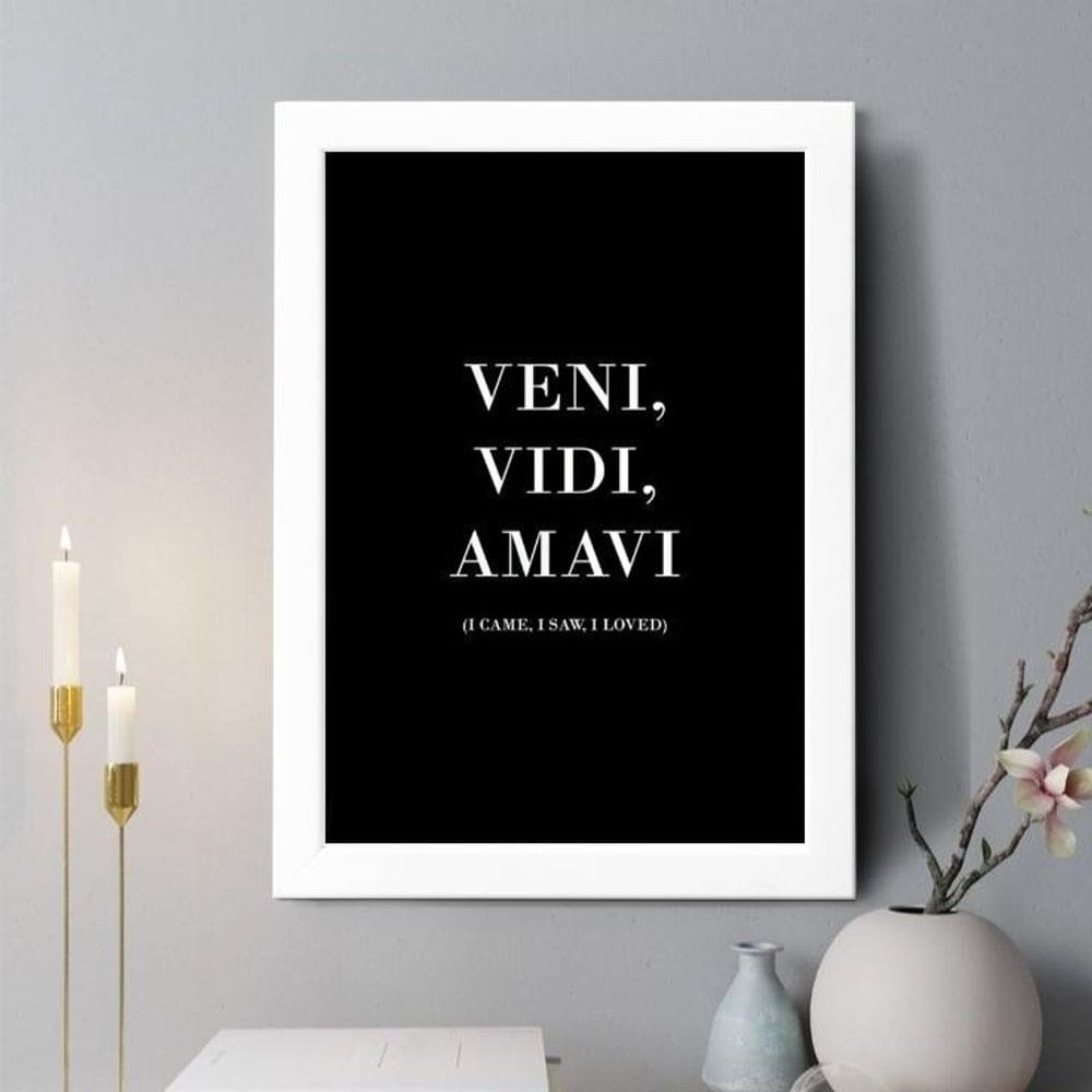 Quadro Decorativo Veni Vidi Amavi 45X34Cm
