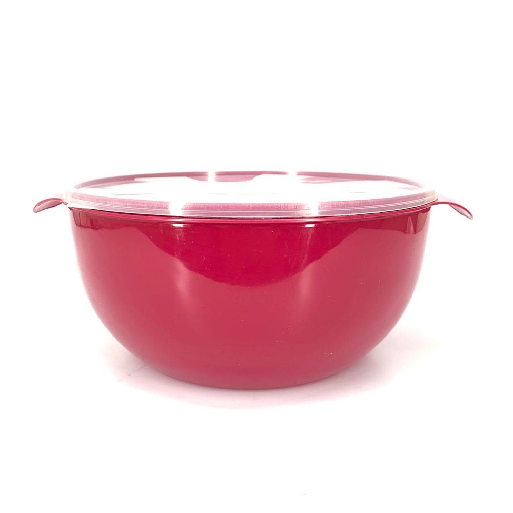 Bacia com Tampa Inplast 6,5L - Tam. M