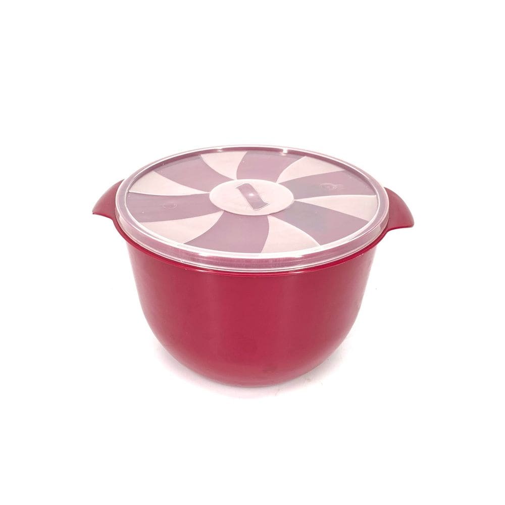 Bacia com Tampa Inplast 2,5L - Tam. P