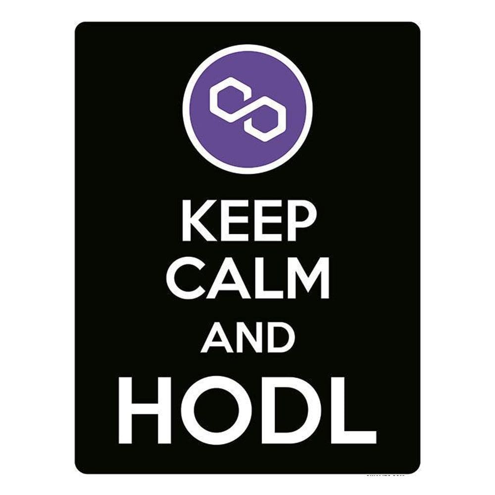 Placa Decoraçao - Keep Calm Hodl Hold Polygon Matic 36X46