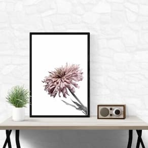 Quadro Foto Flor Moderna Rosa 45X34Cm - Com Vidro