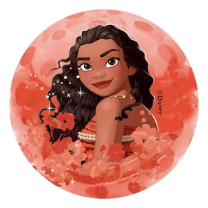Brinquedo Toyng Bola Princesas da Disney