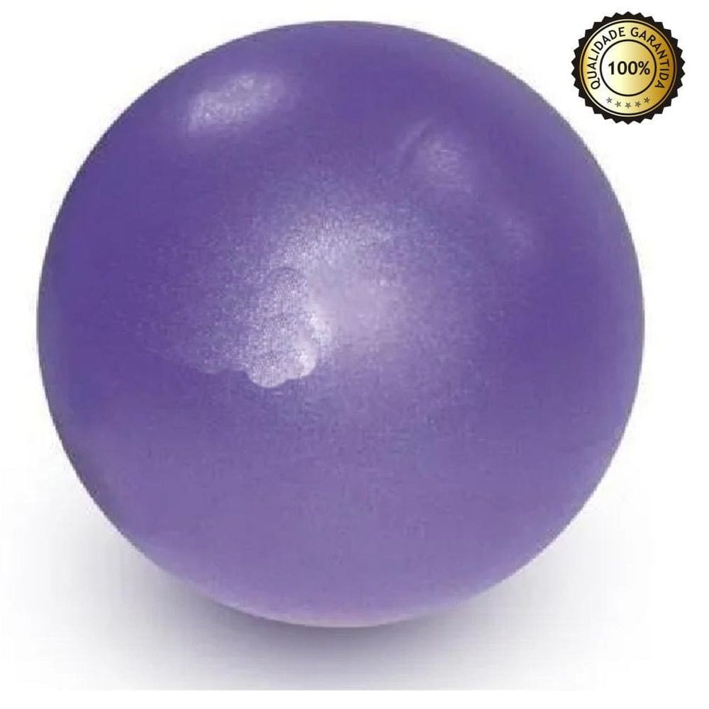 Over Ball 25 Cm Yoga Pilates Treino Funcional Fisioterapia