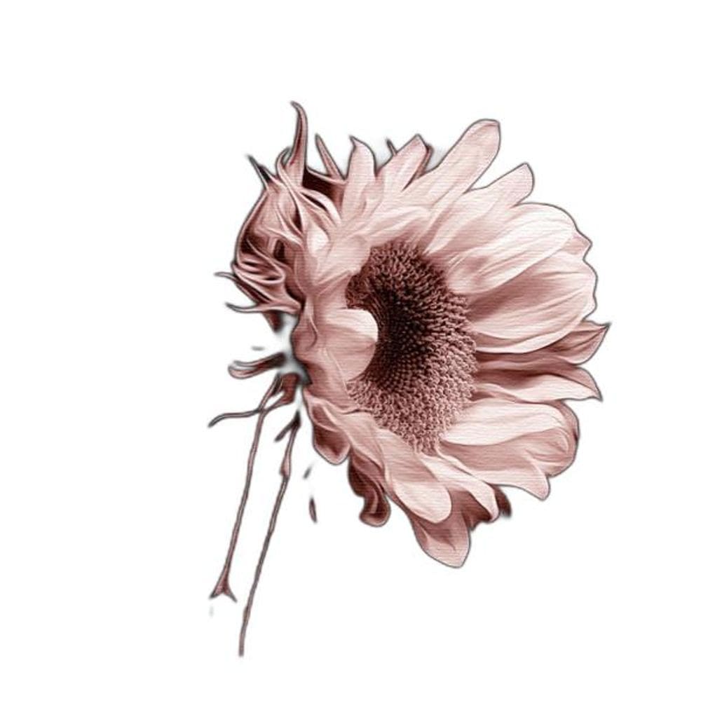 Quadro Decorativo Canvas Only Flower Midiapoparte 80x80Cm