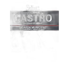 Apostila Castro Pr - Guarda Municipal Masculino E Feminino
