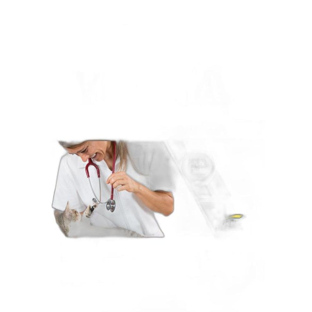 Apostila Prefeitura Vitória ES - Auxiliar De Veterinária