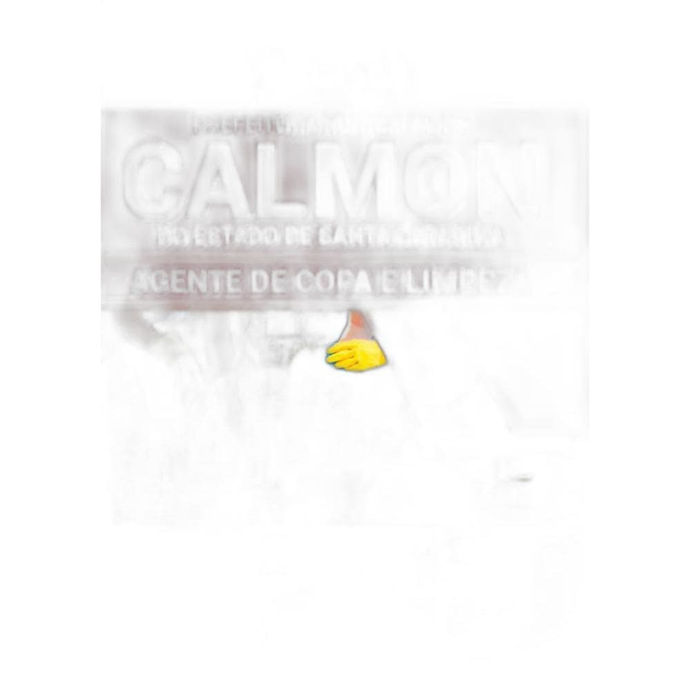 Apostila Prefeitura Calmon Sc - Agente De Copa E Limpeza