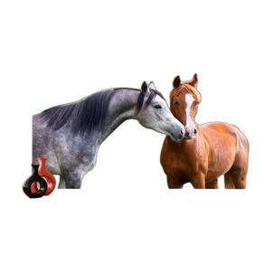 Papel De Parede Animais Casal Cavalos Fazenda 3,5M Anm325