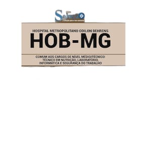 Apostila Hob Mg - Comum Aos Cargos De Nível Médio E Técnico