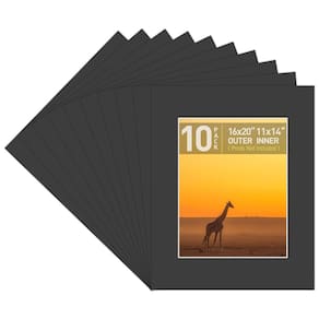 Tapetes fotográficos Golden State Art Classic Black 16x20 cm, pacote com