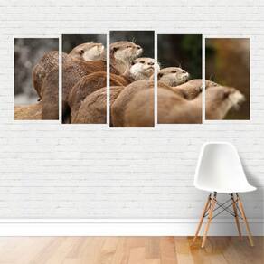 Quadro Animais Grupo de Lontras Ariranha Nadadores em Canvas