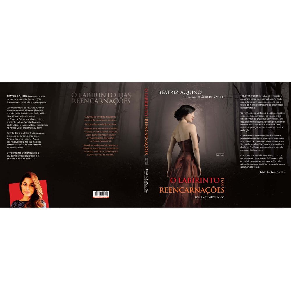 Livro O labirinto das reencarnações