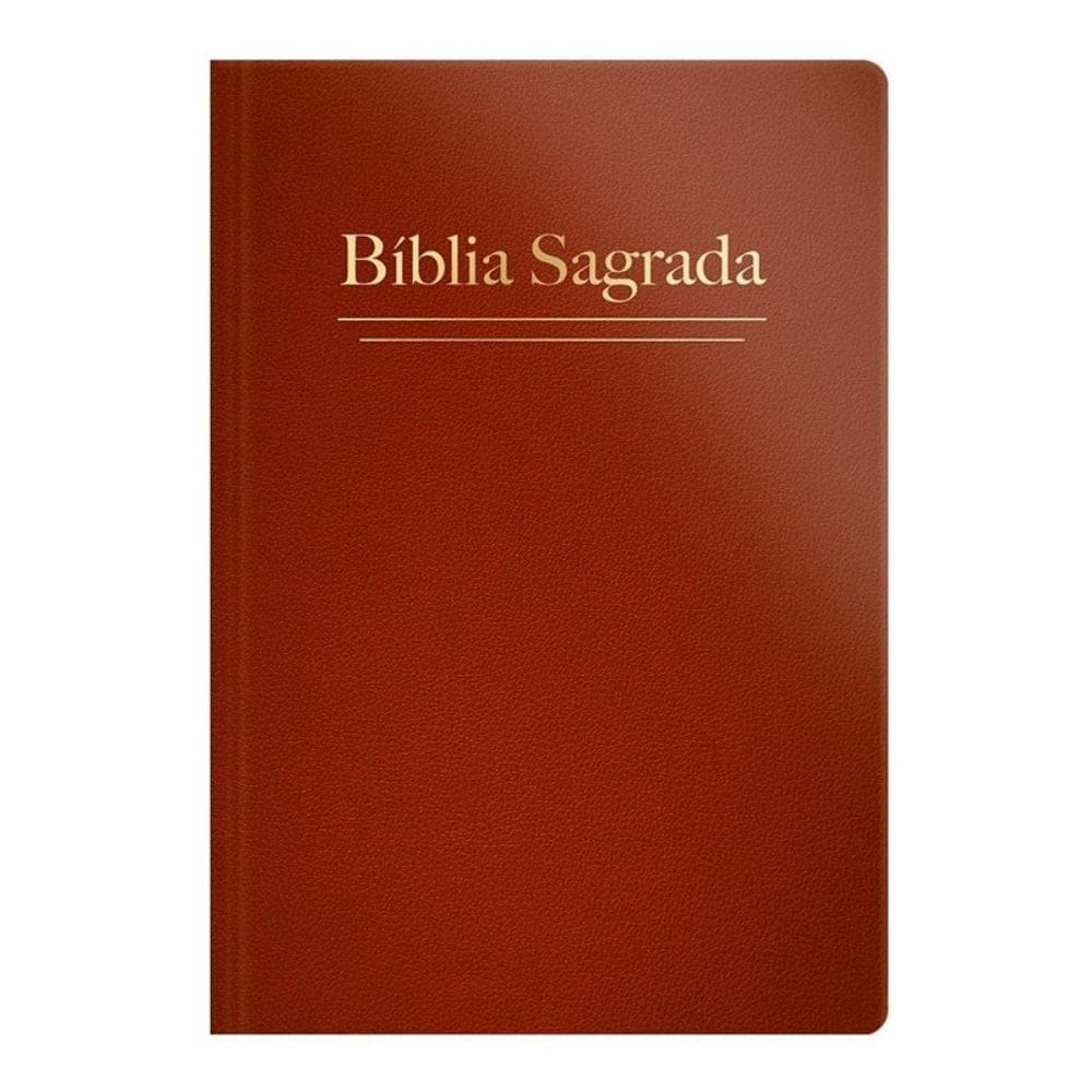 Bíblia Rc Letra Grande - Semi Luxo - Telha