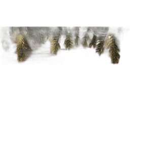 Fundo Fotográfico Em Tecido Madeira 2,80X1,50