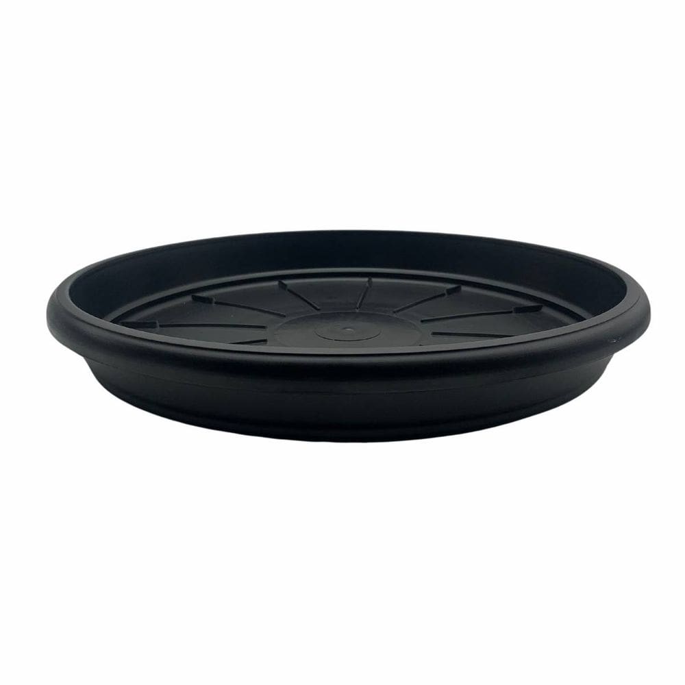 Prato para Vaso Redondo (11) Preto NUTRIPLAN