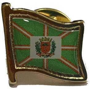 Pin Da Bandeira De Curitiba