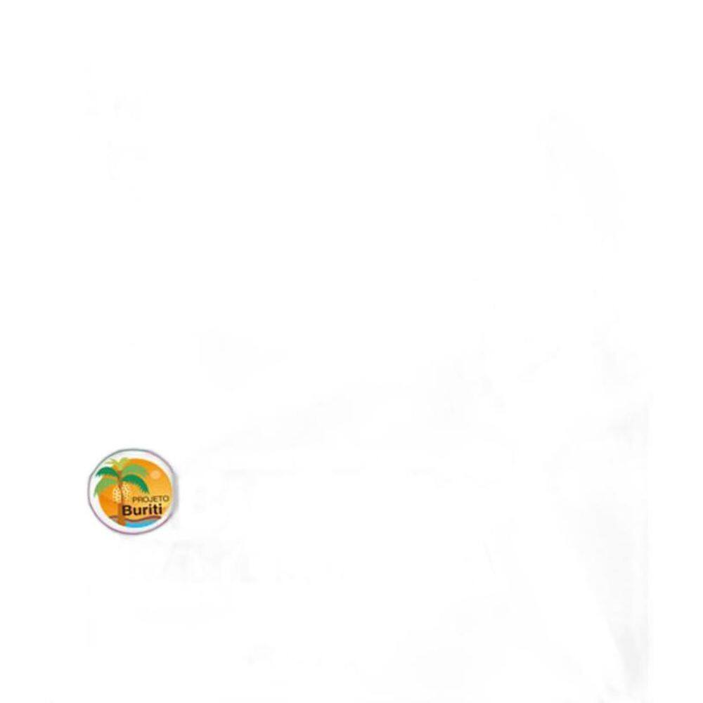 Livro Projeto Buriti Plus - Matematica - 2 Ano - Ef I