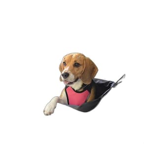 Cadeirinha Assento Carro Transpet BIG 15kg cães Preto