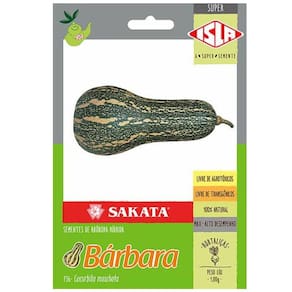 Sementes de Abóbora Hibrida Bárbara Super ISLA