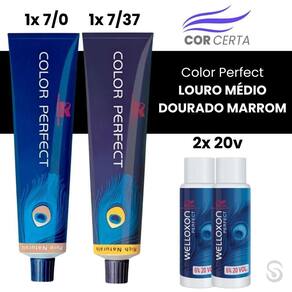 Color Perfect Louro Médio Dourado Marrom