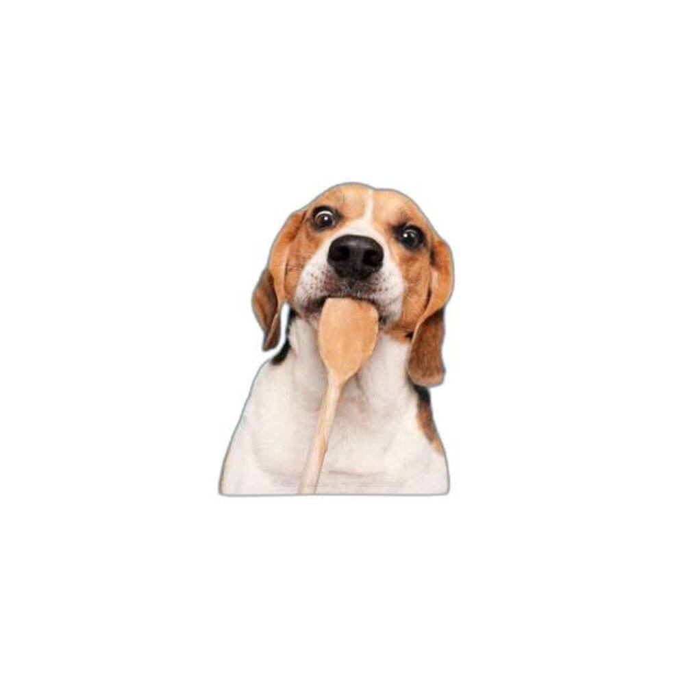 Quadro Fotografia Cachorro Na Cozinha 24X18Cm - Com Vidro