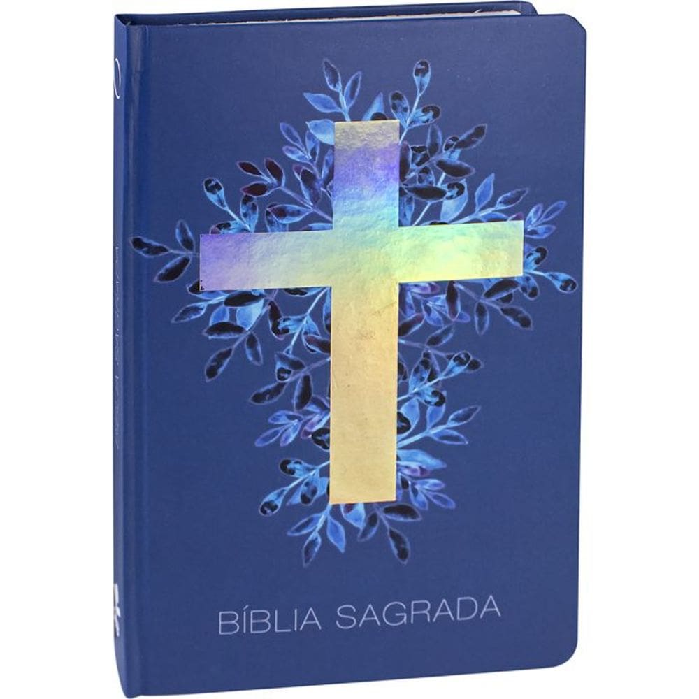 Bíblia Sagrada - Cruz Luz - ARA - Capa Dura - SBB